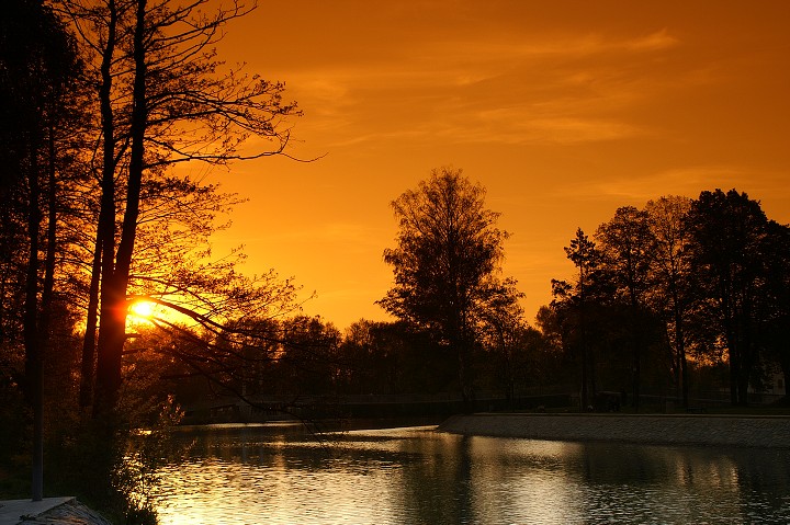 img00001.jpg