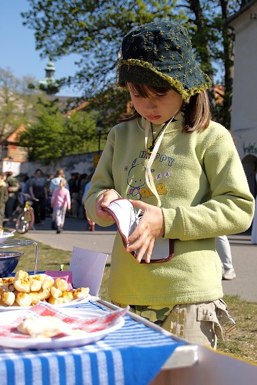 img00008.jpg