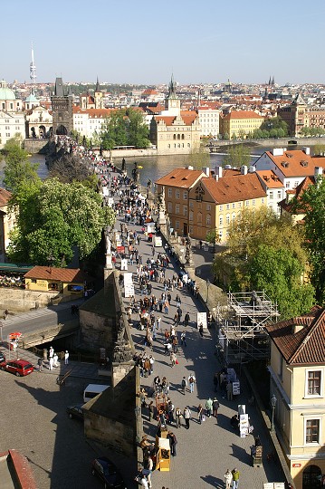 img00010.jpg